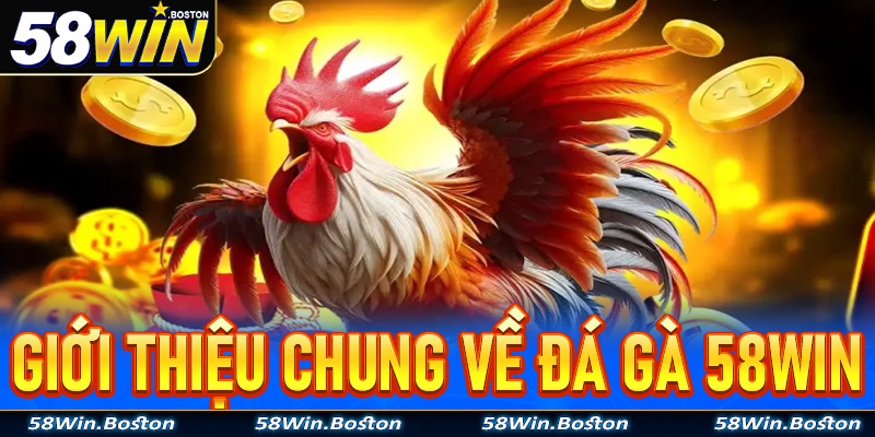 Giới thiệu chung về trò chơi đá gà 58win
