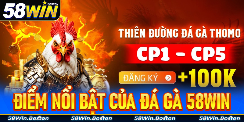 Một số điểm nổi bật của đấu trường cá cược đá gà 58win